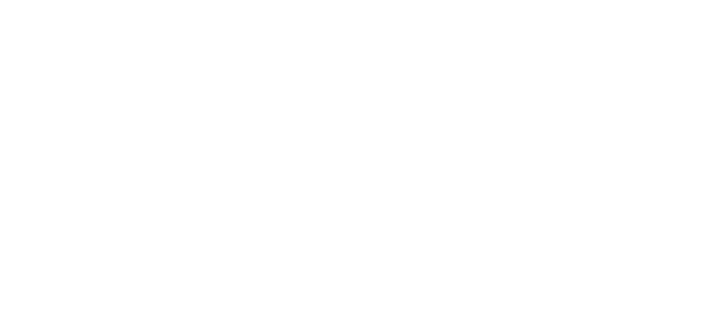 Usa Lee Consulting